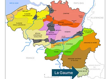 Map of the natural regions of Belgium with the Gaume in the far south