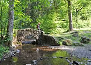 Village in the Gaume